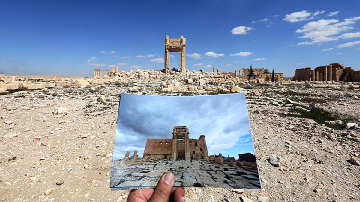 Palmyra